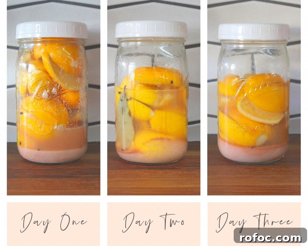 How to Make Preserved Lemons at Home: Simple Step-by-Step Guide 10 img 21409 9