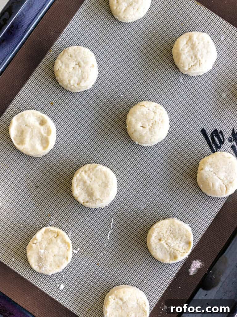 Mini Cream Scones Recipe — Simple Homemade Bite-Sized Scones 10 Rounds of scone dough before baking on a baking tray.