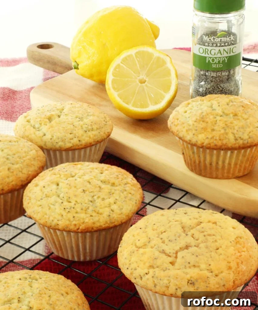 Zesty Lemon Poppy Seed Muffins with Buttery Crumb 2 Lemon Poppy Seed Muffins
