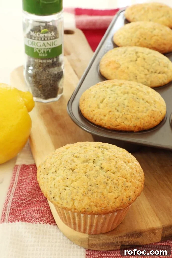 Zesty Lemon Poppy Seed Muffins with Buttery Crumb 3 Lemon Poppy Seed Muffins