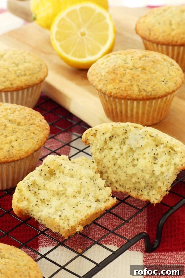 Lemon Poppy Seed Muffins