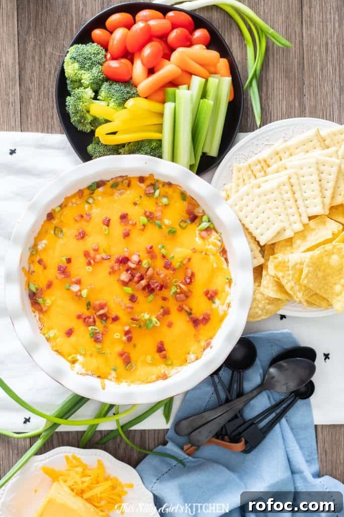 Overhead of Chicken Dip with vegetables and crackers