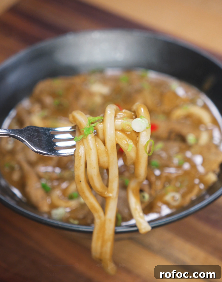 Savory Beef Curry Udon Recipe for Comforting Weeknight Meals 3 A fork holds a few strands of chewy udon noodles covered in a rich beef curry, which provides the main flavor base of beef curry udon.