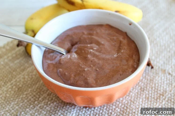 10 Indulgent WeightWatchers Dessert Recipes with Points 6 Chocolate banana nice cream in bowl