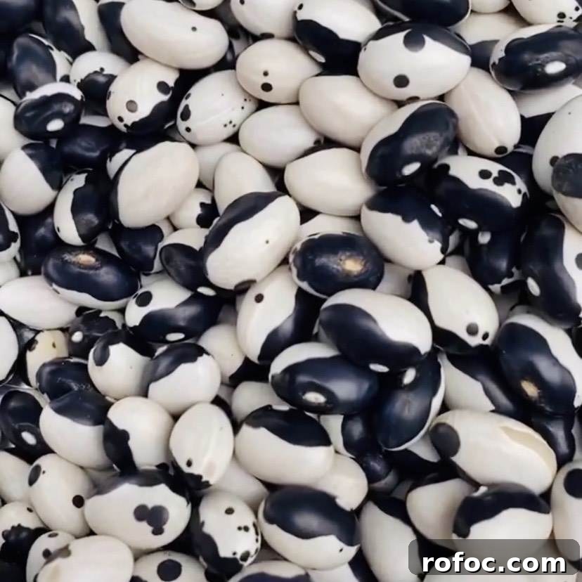 Homemade Bean Soup Mix in a Jar: DIY Kitchen Gift Guide 4 Close up of black and white orca beans