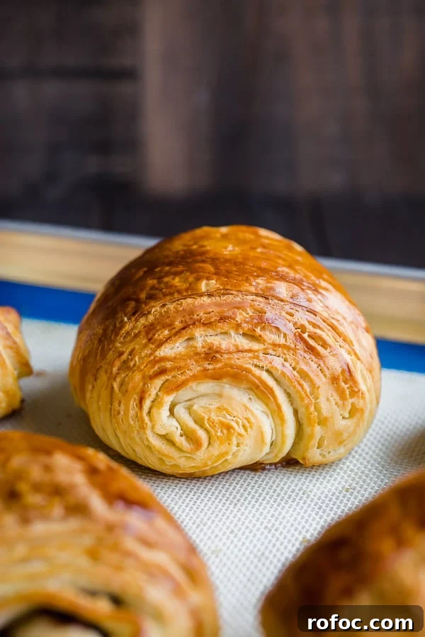 Classic Pain au Chocolat Recipe: How to Make Flaky Chocolate Croissants 9 Gorgeous golden chocolate croissants