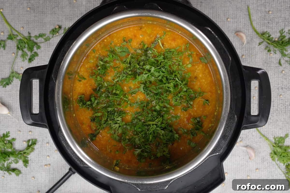 Jowar Khichdi Recipe: How to Cook Nutritious Sorghum Khichdi 7 Ready jowar khichdi garnished with chopped cilantro.