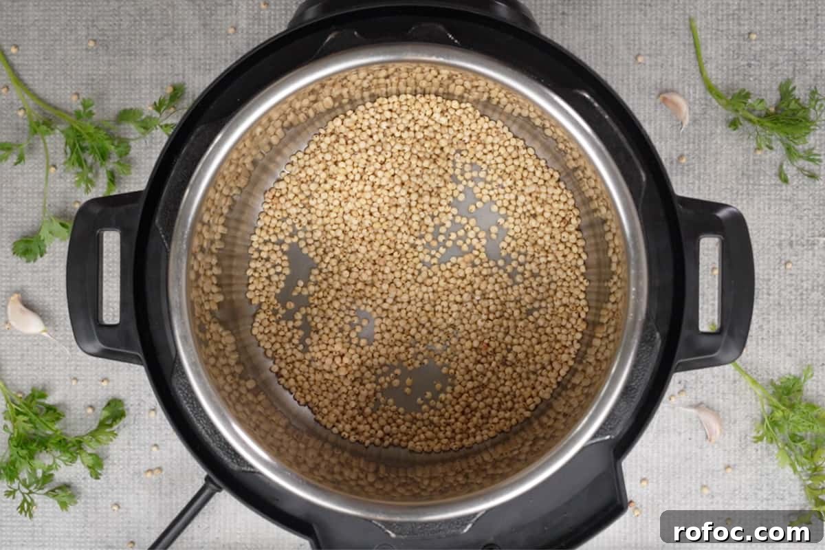 Jowar Khichdi Recipe: How to Cook Nutritious Sorghum Khichdi 5 Roasting jowar grains in an instant pot.