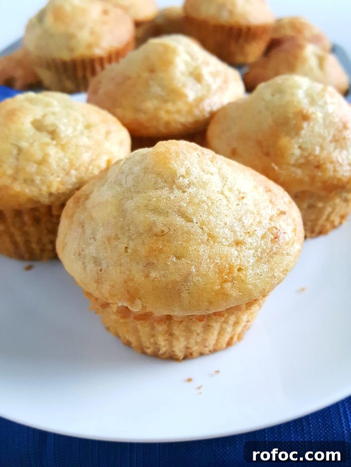 4 Ingredient Cake Mix Banana Muffins - Mix together 3 bananas, 3 eggs, 1/2 cup oil, and 1 box yellow cake mix to make moist and delicious banana muffins! Super quick and easy.