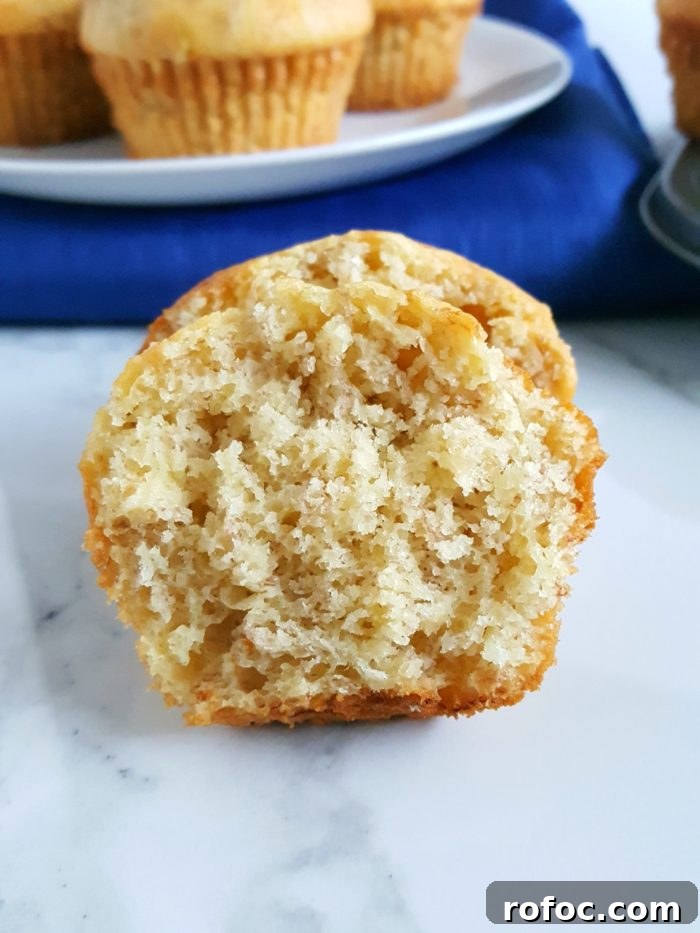 4 Ingredient Cake Mix Banana Muffins - Mix together 3 bananas, 3 eggs, 1/2 cup oil, and 1 box yellow cake mix to make moist and delicious banana muffins! Super quick and easy.