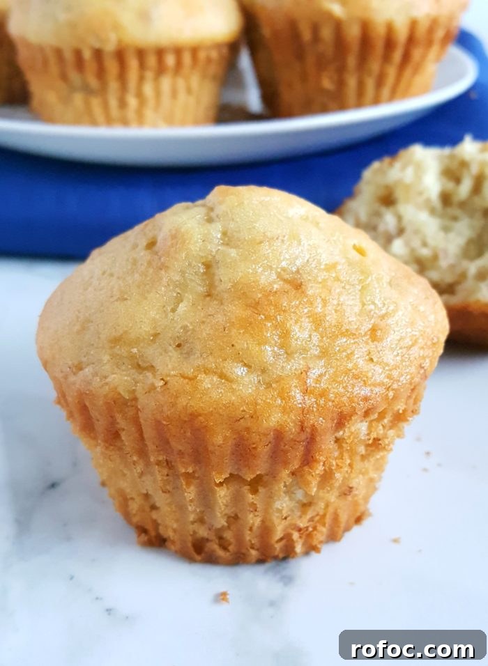 4 Ingredient Cake Mix Banana Muffins - Mix together 3 bananas, 3 eggs, 1/2 cup oil, and 1 box yellow cake mix to make moist and delicious banana muffins! Super quick and easy.