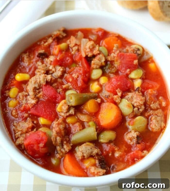 Hearty Crock Pot Beef and Vegetable Soup Recipe 2 Crockoot Vegetable Beef Soup with Canned Vegetables