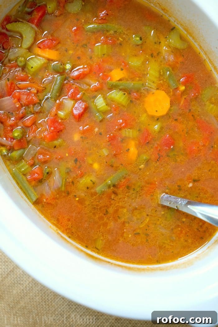 Hearty Crock Pot Beef and Vegetable Soup Recipe 5 Easy Crock Pot Vegetable Beef Soup
