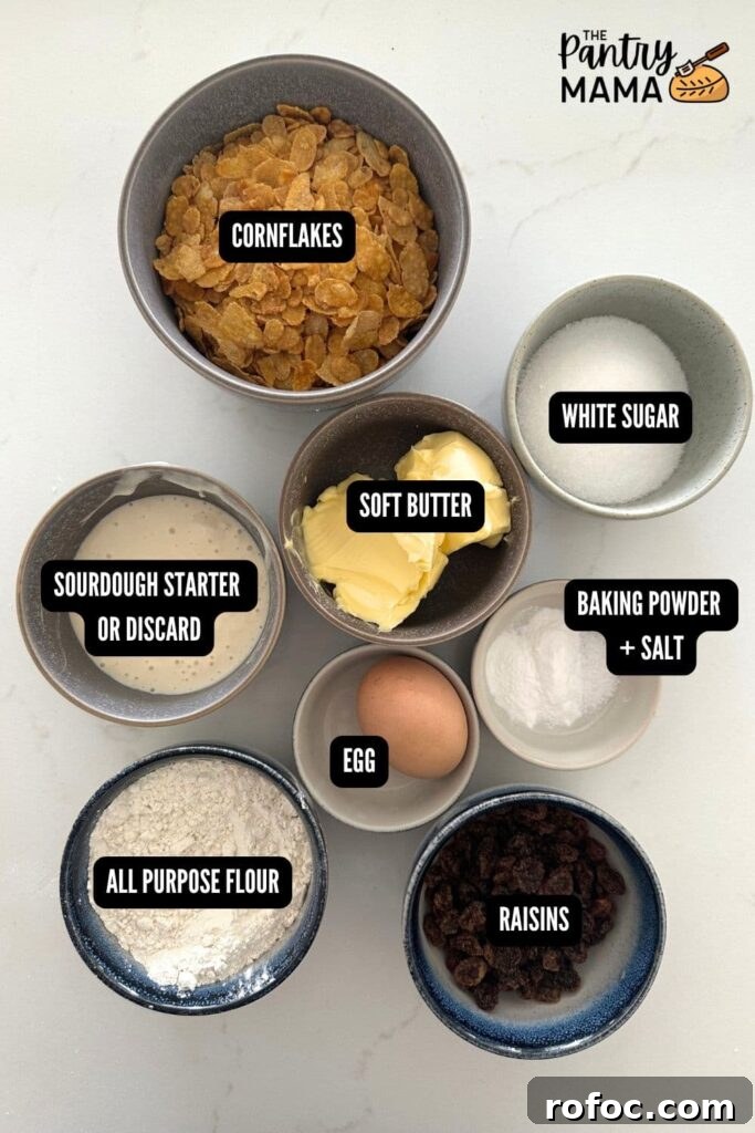 Sourdough Cornflake Raisin Cookies Recipe for Crispy Chewy Cookies 4 Flat lay of ingredients necessary to make sourdough cornflake raisin cookies.