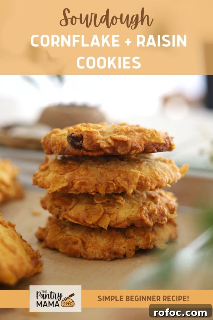 Sourdough Cornflake Raisin Cookies Recipe for Crispy Chewy Cookies 10 SOURDOUGH CORNFLAKE COOKIES - PINTEREST IMAGE