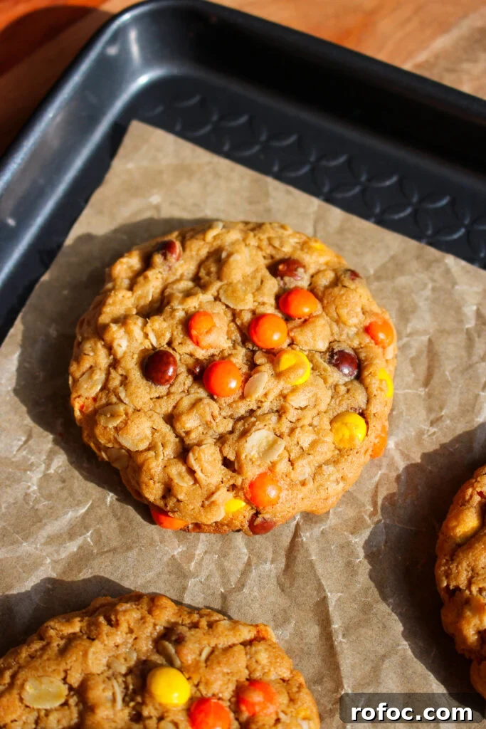 Reese's Peanut Butter Oatmeal Cookie Recipe for Chocolate Lovers 2 img 26886 1