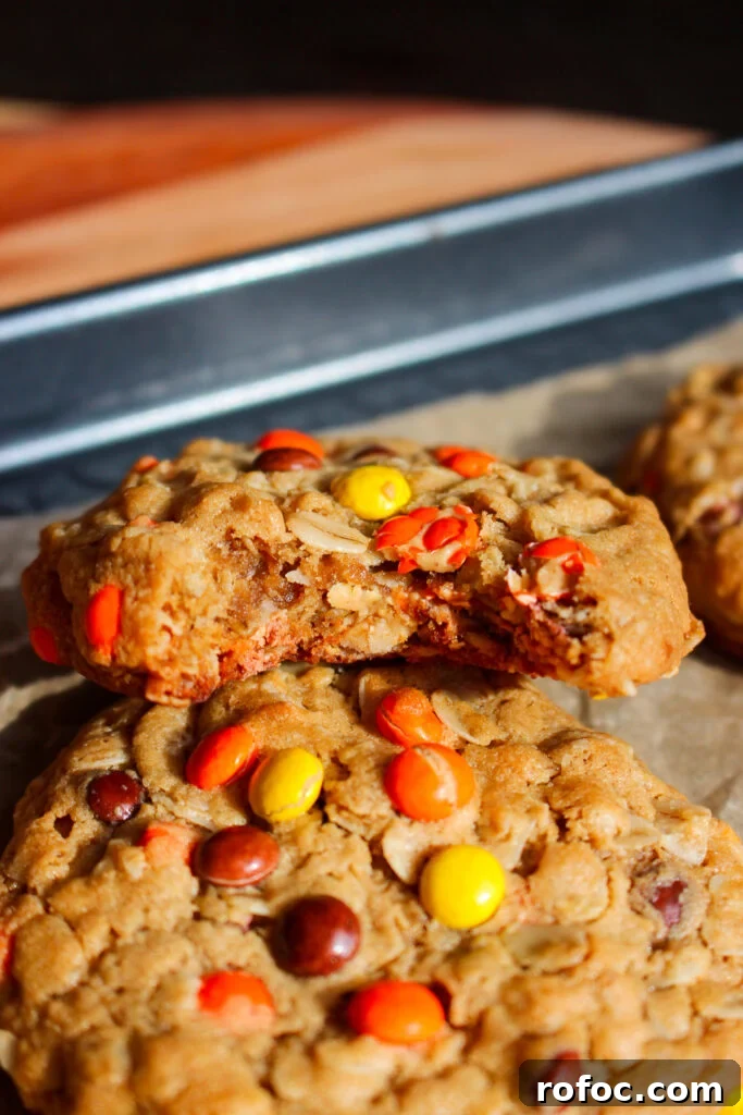 Reese's Peanut Butter Oatmeal Cookie Recipe for Chocolate Lovers 7 img 26886 12