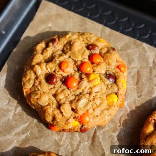 Reese's Peanut Butter Oatmeal Cookie Recipe for Chocolate Lovers 12 img 26886 17