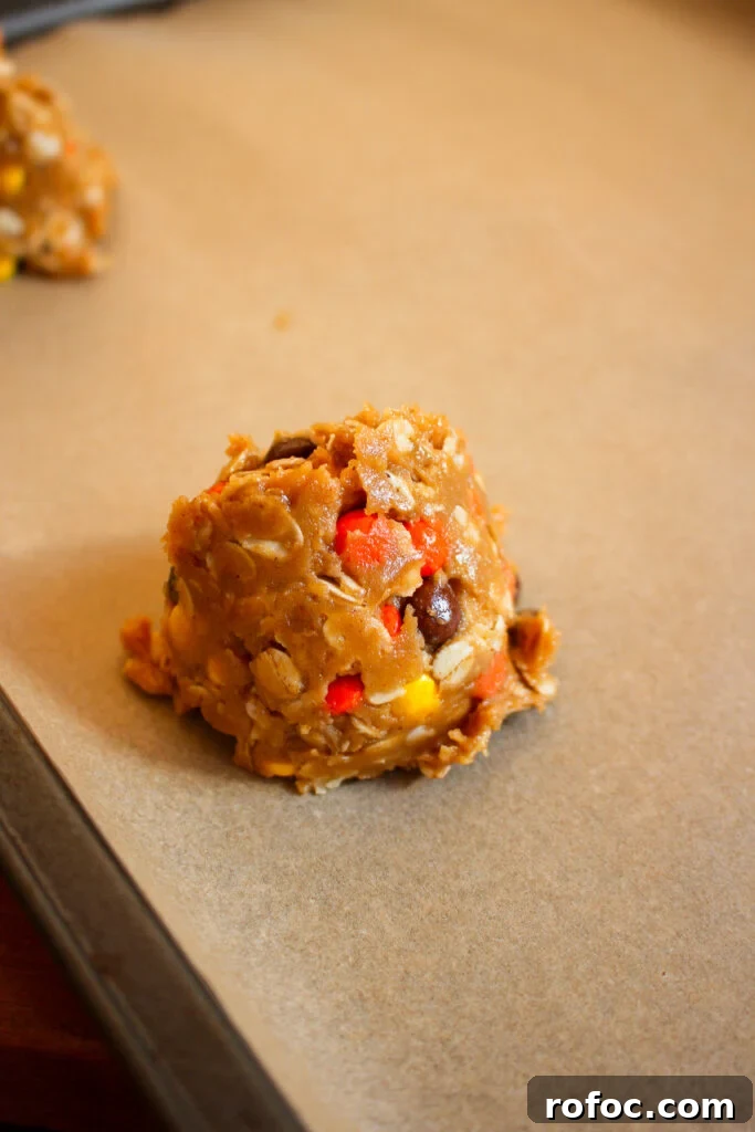 Reese's Peanut Butter Oatmeal Cookie Recipe for Chocolate Lovers 4 img 26886 9