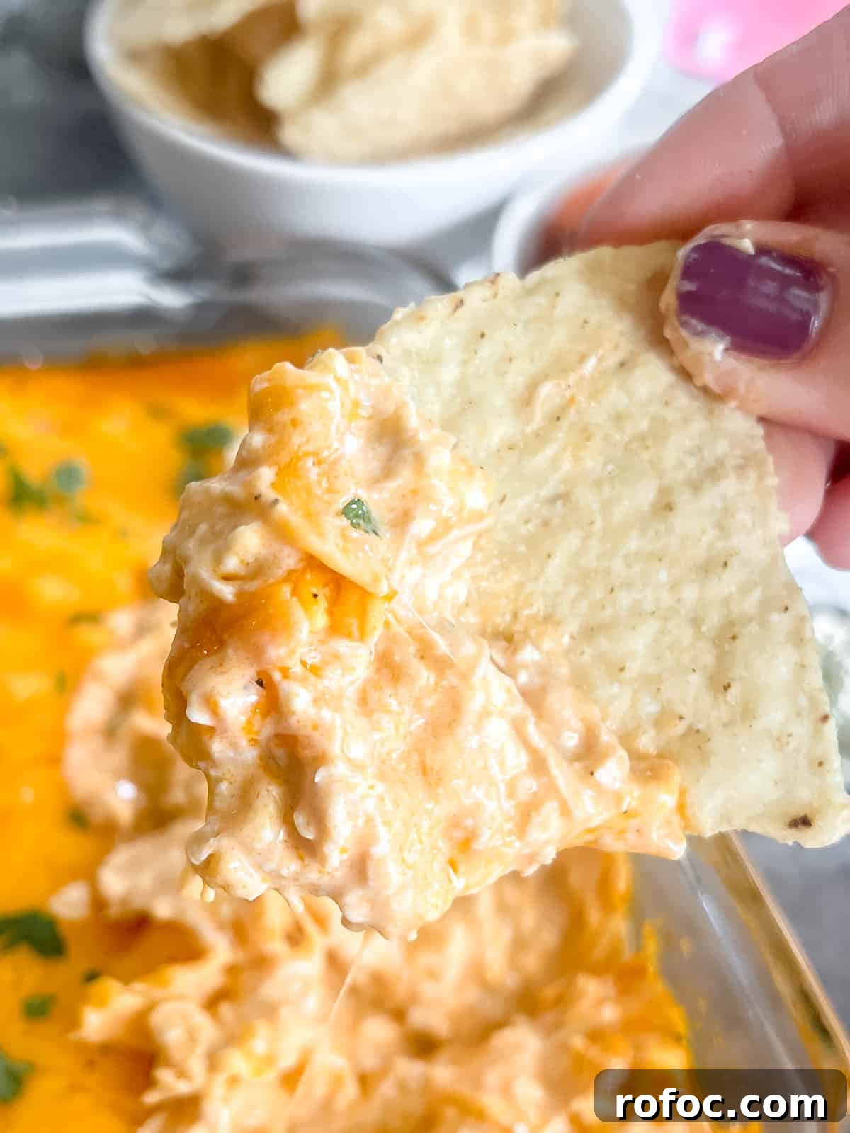 Creamy Buffalo Chicken Dip Made with Canned Chicken 10 A chip dunked into keto buffalo chicken dip.