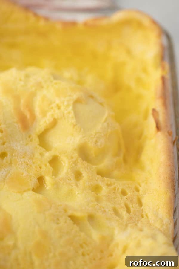 Fluffy German Pancake (Dutch Baby) Recipe + Video Guide 5 A large freshly baked German pancake in a glass baking dish.