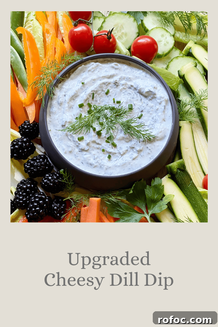 Unique Chips & Dips Recipes to Impress Guests 13 Upgraded Cheesy Dill Dip