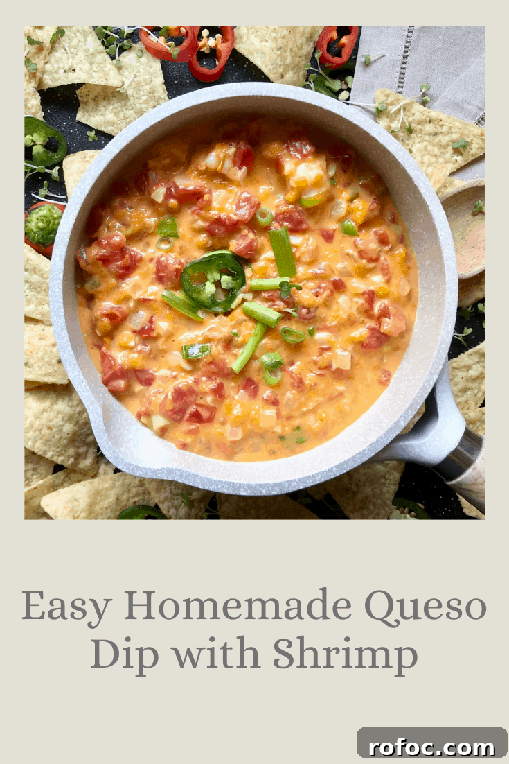 Unique Chips & Dips Recipes to Impress Guests 14 Easy Homemade Queso Dip with Shrimp