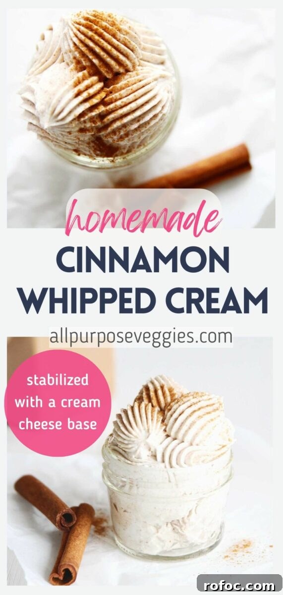 Cinnamon-Spiced Whipped Cream with Cream Cheese Stabilizer 14 pin image - Sweet & Spicy Cinnamon Whipped Cream