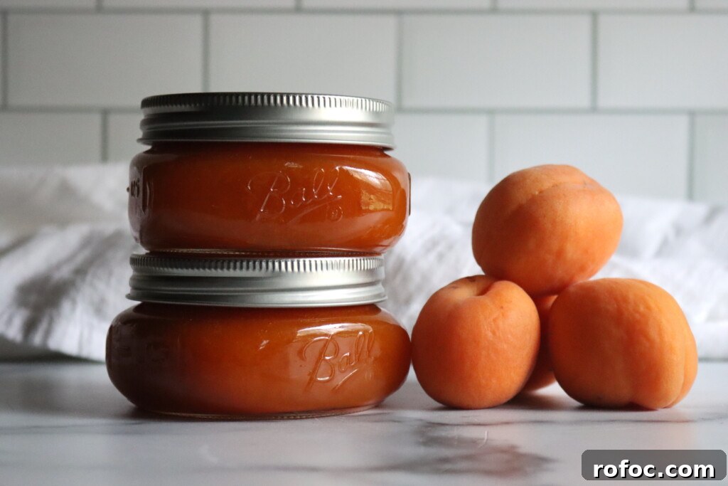 Homemade Apricot Butter Recipe — Smooth & Spreadable Preserves 2 Apricot Butter