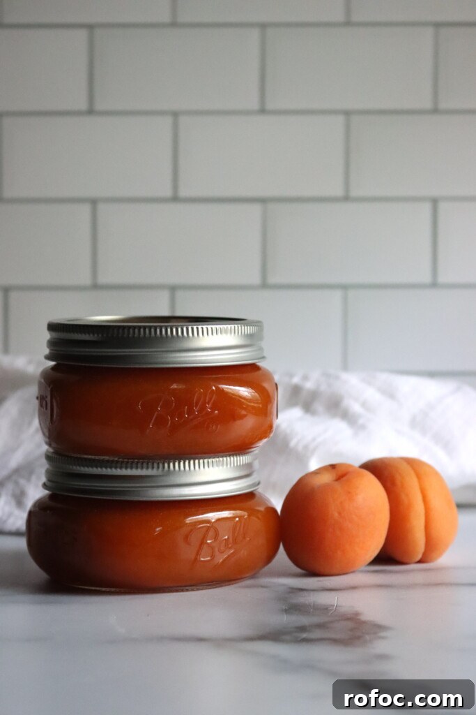 Homemade Apricot Butter Recipe — Smooth & Spreadable Preserves 3 Apricot Butter