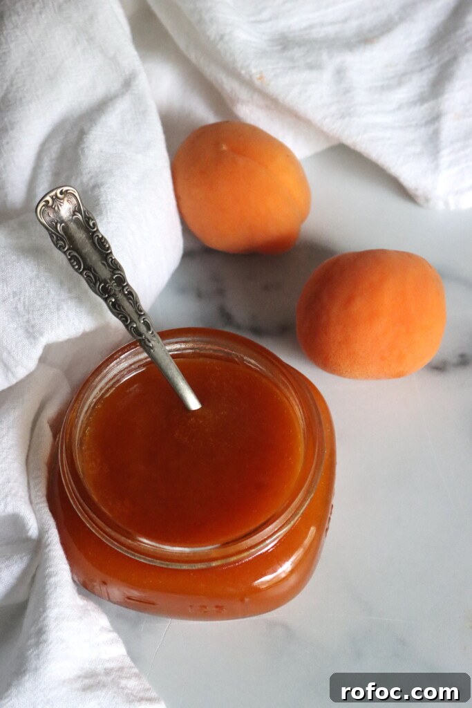 Homemade Apricot Butter Recipe — Smooth & Spreadable Preserves 4 Apricot Butter