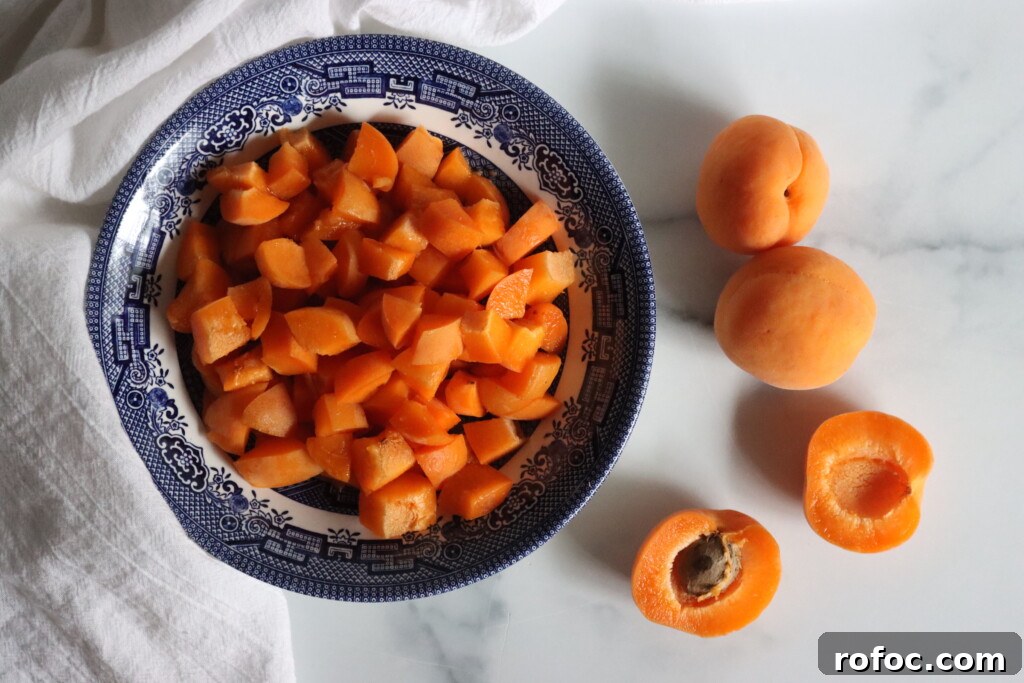 Homemade Apricot Butter Recipe — Smooth & Spreadable Preserves 5 Apricots