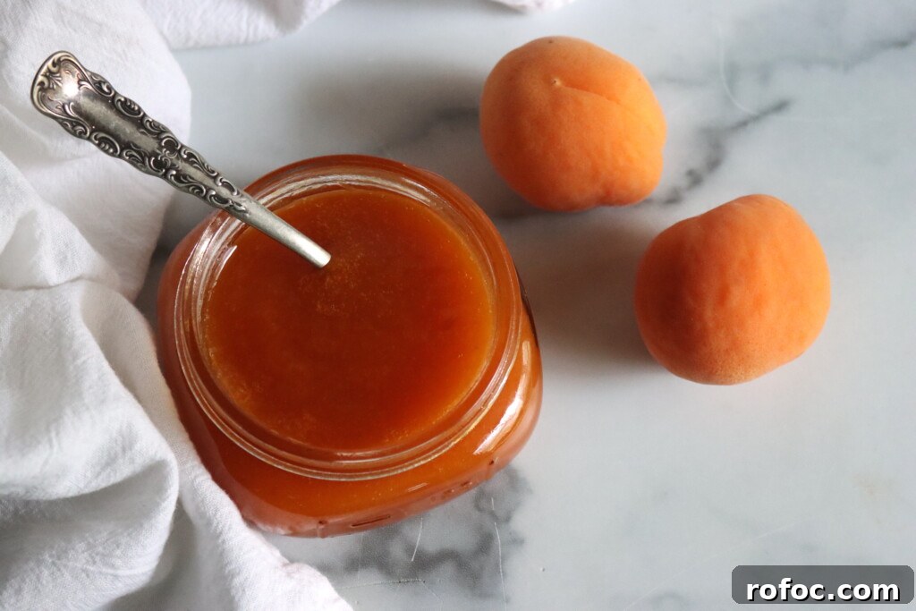 Homemade Apricot Butter Recipe — Smooth & Spreadable Preserves 6 Apricot Butter