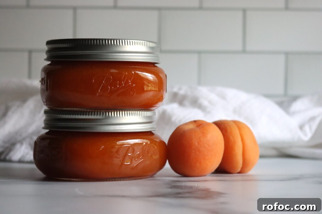 Homemade Apricot Butter Recipe — Smooth & Spreadable Preserves 7 Apricot Butter Recipe