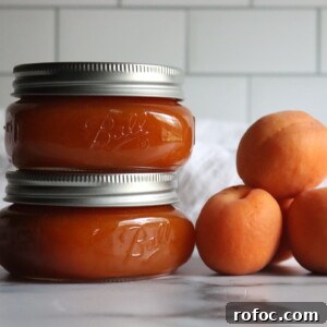 Homemade Apricot Butter Recipe — Smooth & Spreadable Preserves 8 Apricot Butter