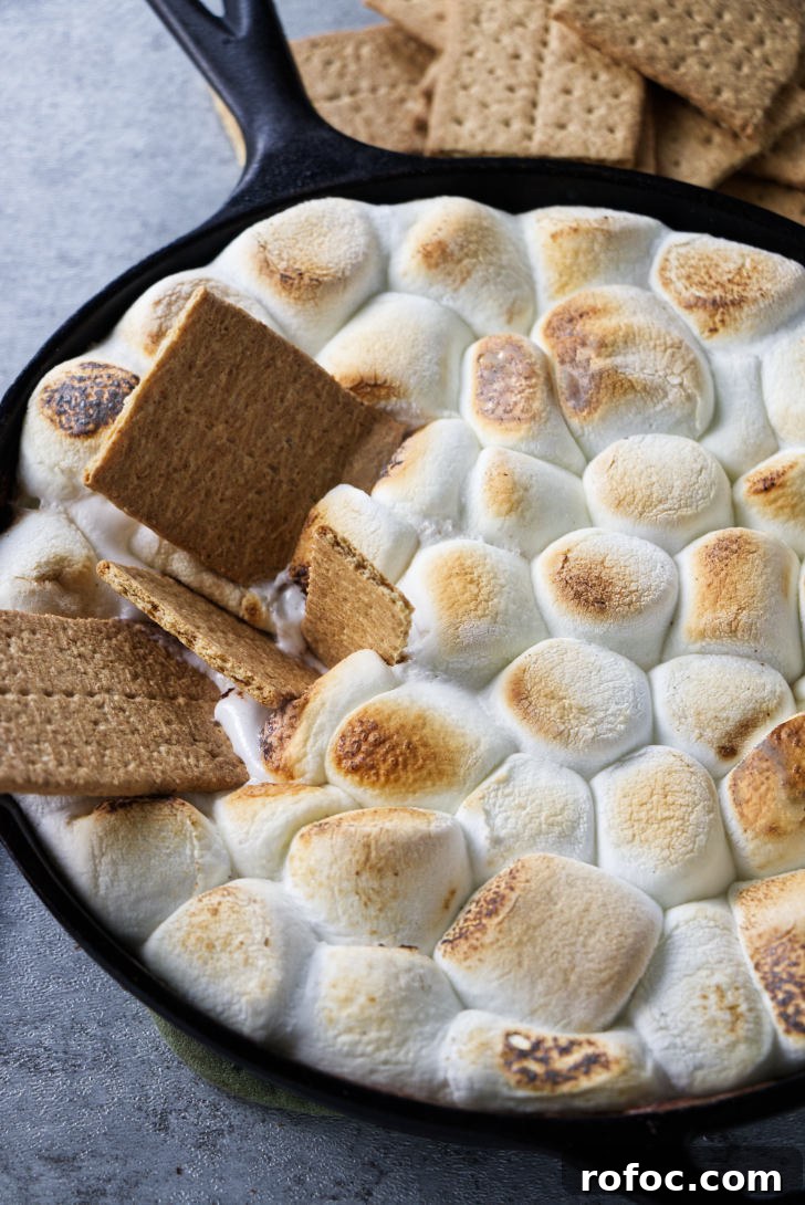 Traeger Smores Dip Recipe for Campfire-Style Desserts 3 A cast iron skillet with s'mores dip.