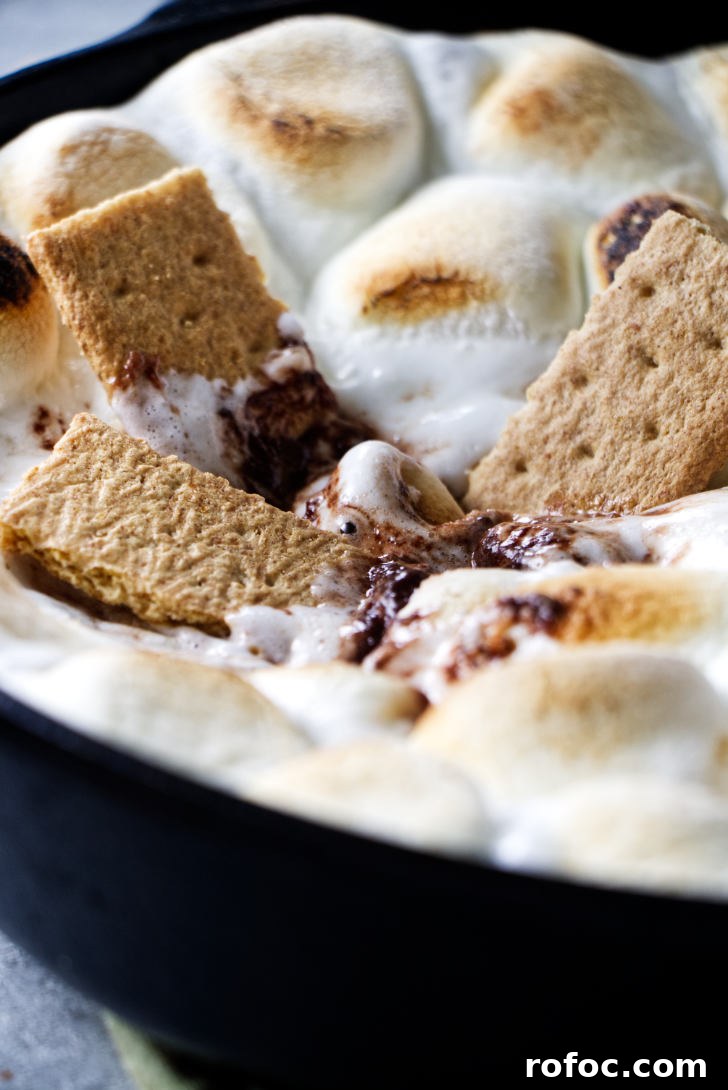 Traeger Smores Dip Recipe for Campfire-Style Desserts 9 S'mores dip with Graham crackers dipped inside.
