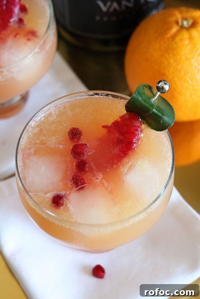 Pomegranate and Blood Orange Cocktail Recipe for Winter Drinks 2 top view of pomegranate blood orange cocktail with garnish