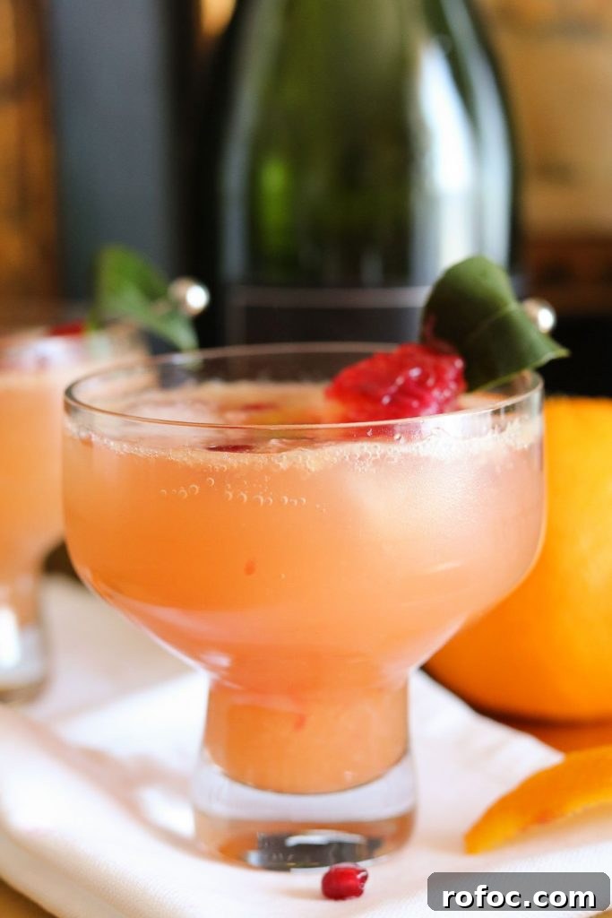 Pomegranate and Blood Orange Cocktail Recipe for Winter Drinks 4 pomegranate blood orange cocktail in glass with garnish