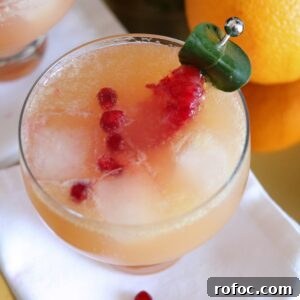 Pomegranate and Blood Orange Cocktail Recipe for Winter Drinks 5 Pomegranate Blood Orange Cocktail top view