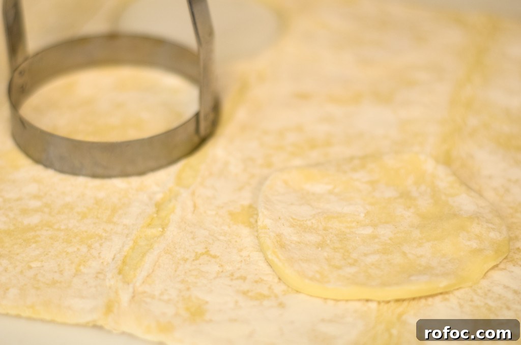 Crispy Air Fryer Empanadas: Quick Homemade Recipe 3 air fryer empanadas