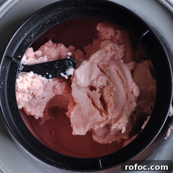 Strawberry Frozen Yogurt with Orange and Lime Zest 4 Strawberry frozen yogurt churning inside an ice cream maker.