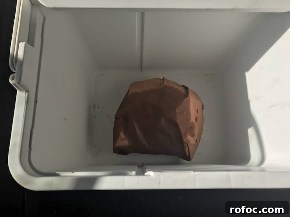 Smoking Pork Butt in an Electric Smoker: Tips from the Pros 7 img 3927 8