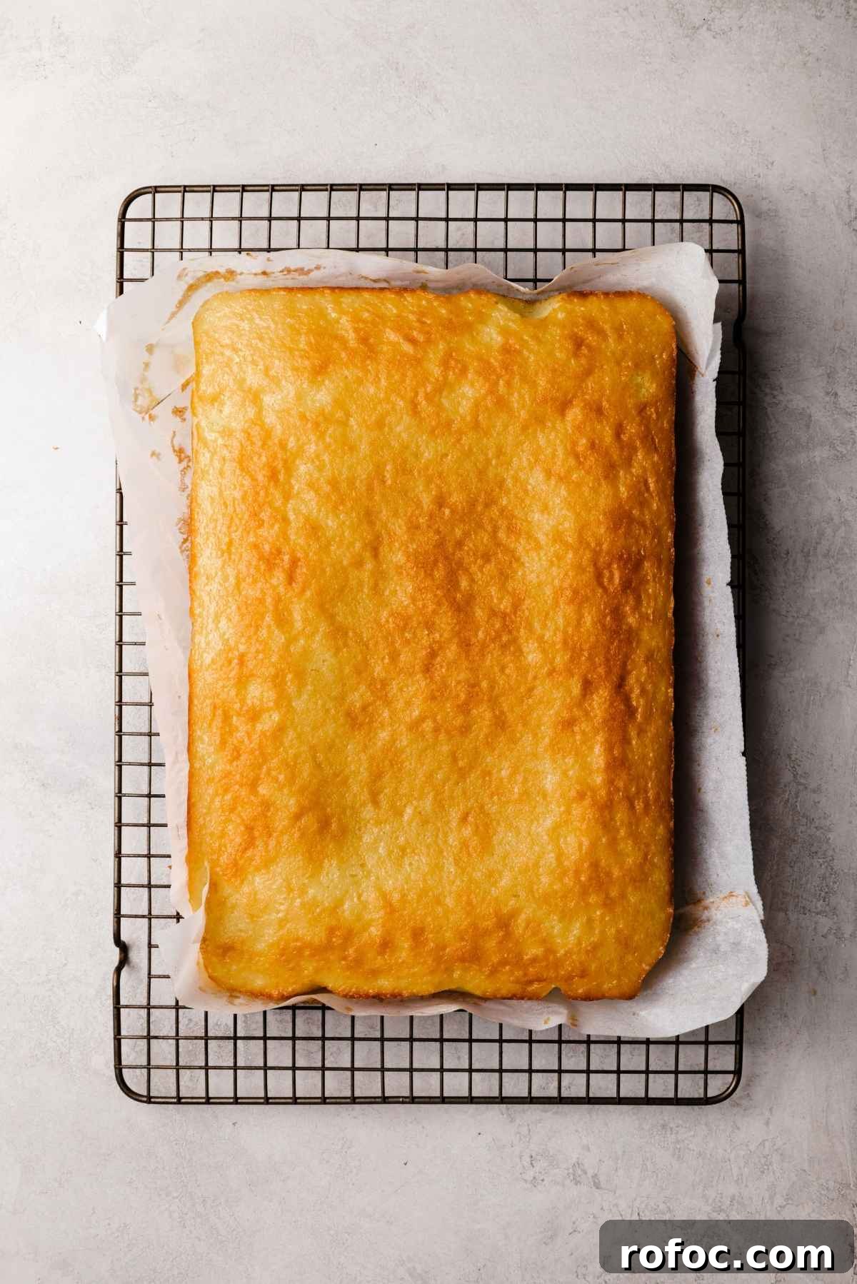 Vanilla sponge cake cooling on a parchment paper lined cooling rack on a white and grey textured background.
