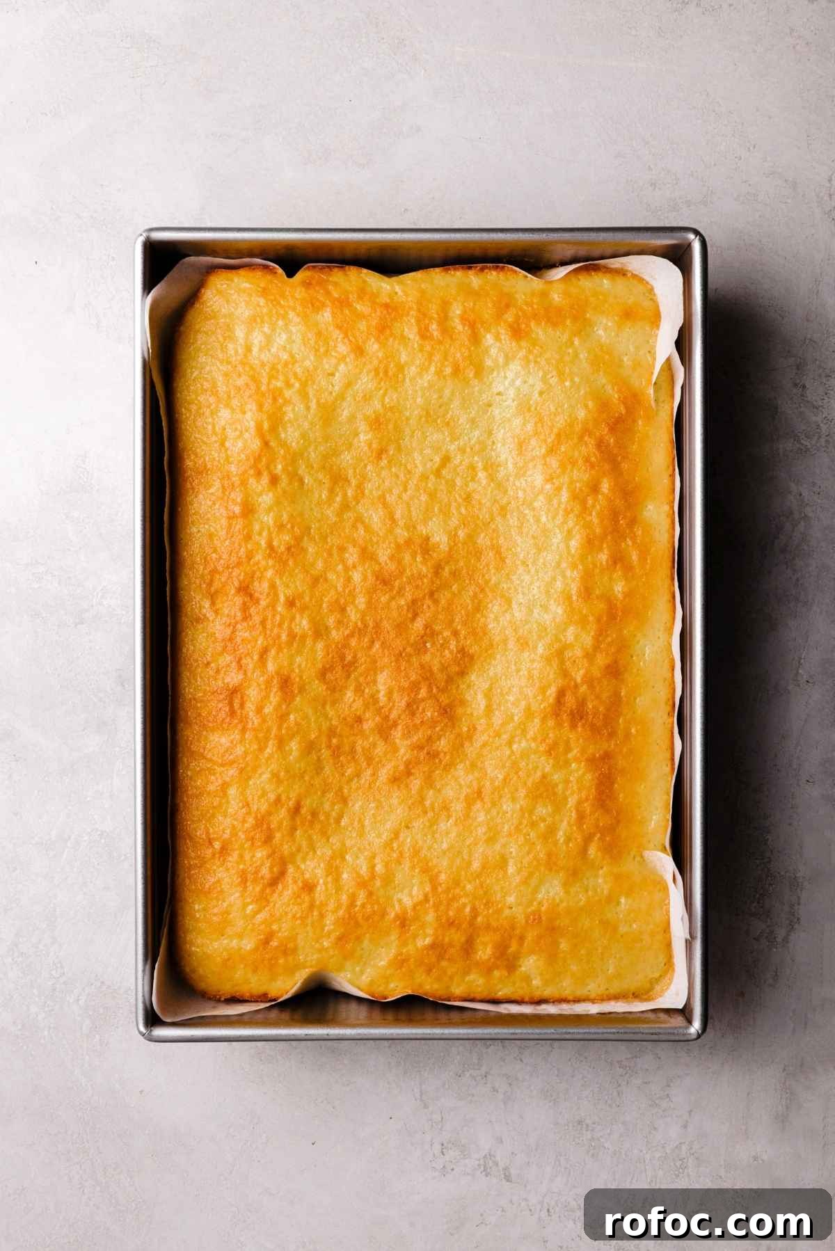 Baked vanilla sponge cake in a parchment paper lined metal baking pan on a white and grey textured background.