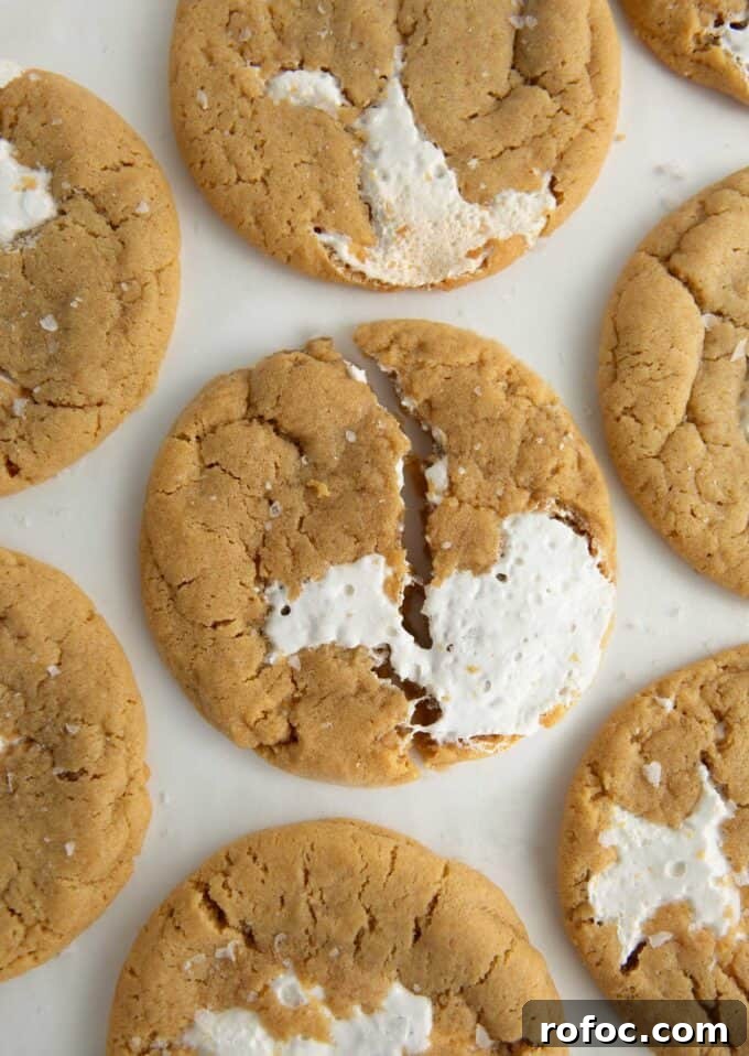 Chewy Fluffernutter Peanut Butter & Marshmallow Cookies 2 Chewy fluffernutter cookies