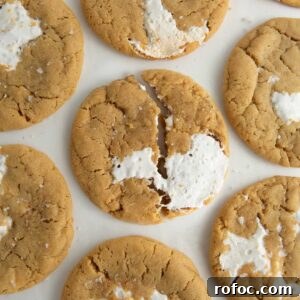 Chewy Fluffernutter Peanut Butter & Marshmallow Cookies 12 Chewy fluffernutter cookies with marshmallow creme