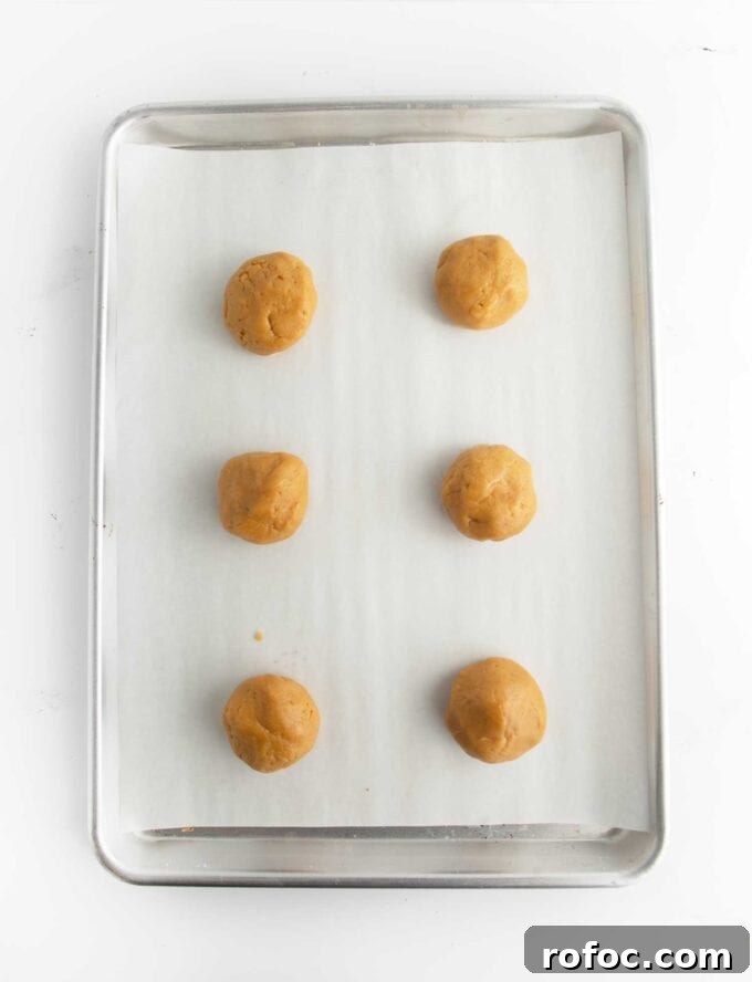 Chewy Fluffernutter Peanut Butter & Marshmallow Cookies 9 tray of 6 ball of fluffernutter peanut butter cookie dough balls