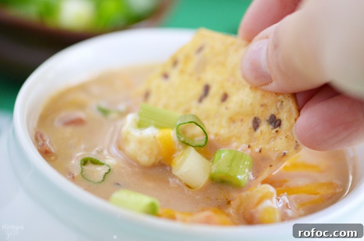 Southwestern Chicken Soup with Corn, Black Beans & Lime 11 This Easy Southwestern Chicken Soup is loaded with flavor but takes little time to make. Whether you make it spicy or mild, it is sure to win the crowd on game day or any day of the year!
