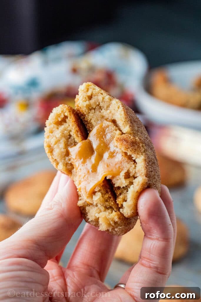 Caramel-Filled Snickerdoodles: Gooey Cinnamon Cookie Recipe 2 Baked stuffed snickerdoodle broken in half in hand.
